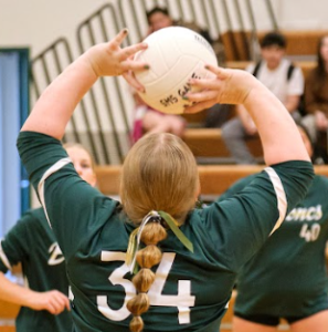 Volleyball (C Team)