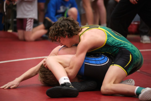 Wrestling